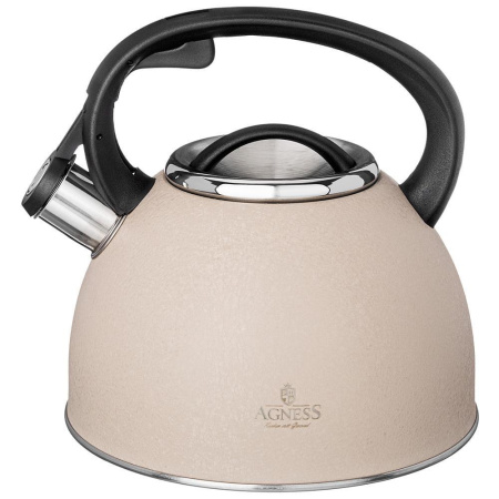 Чайник газовый Agness Teekessel 2,5 л 907-250