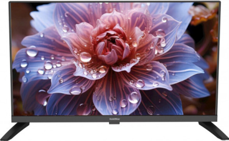  24" (60см) Телевизор GOLDSTAR LT-24R1000, SMART- Нет, HD 1366x768, Цвет Чёрный