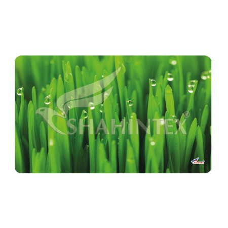 Универсальный коврик Shahintex Spring Photoprint SH P131 60*90