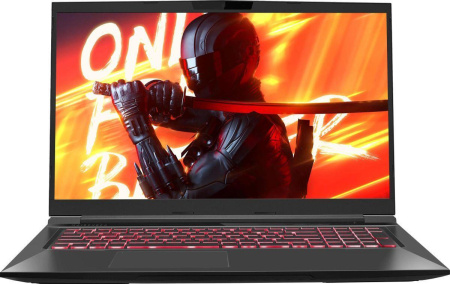 Ноутбук Maibenben X725 Core i5 12450H/16Gb/512Gb SSD/RTX 4060 8Gb/17.3" FHD IPS 144Hz (DOS) Black (X725FSFNLBRE0)