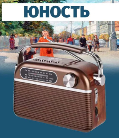 Радиоприемник Perfeo Юность I30BL Коричневый