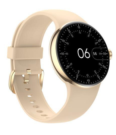 Smart-часы WIFIT WiWatch R1 Gold