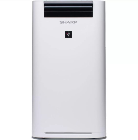 Очиститель воздуха Sharp KCG61RW